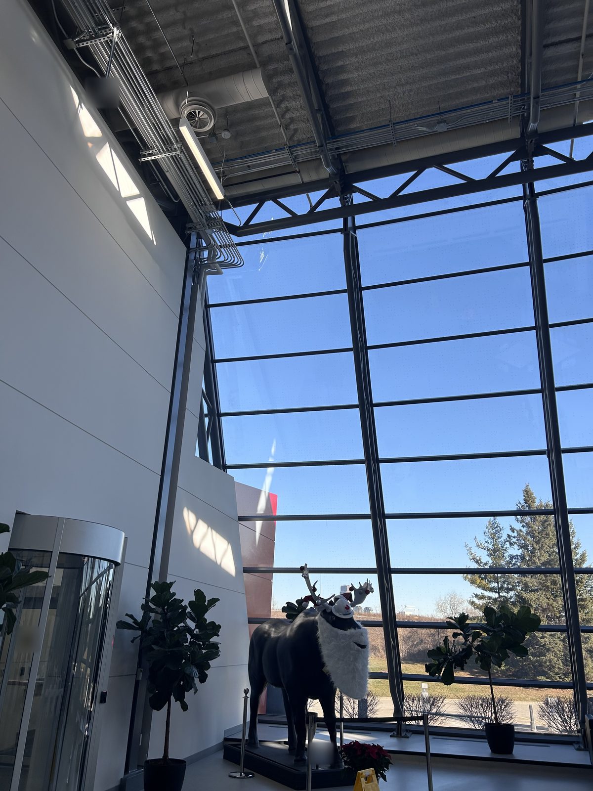 Tall lobby with a white painted wall and steel-framed curtain wall, with a moose sculpture and potted plants