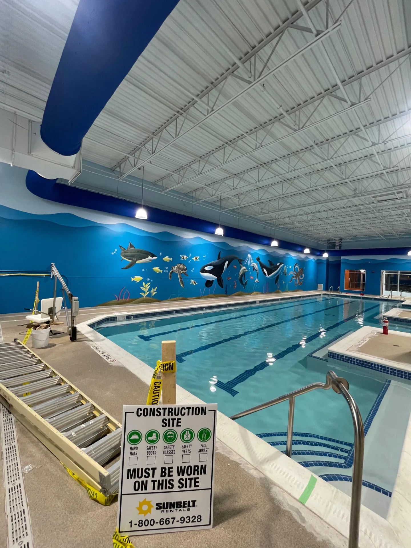 Golden Fish – photo 4