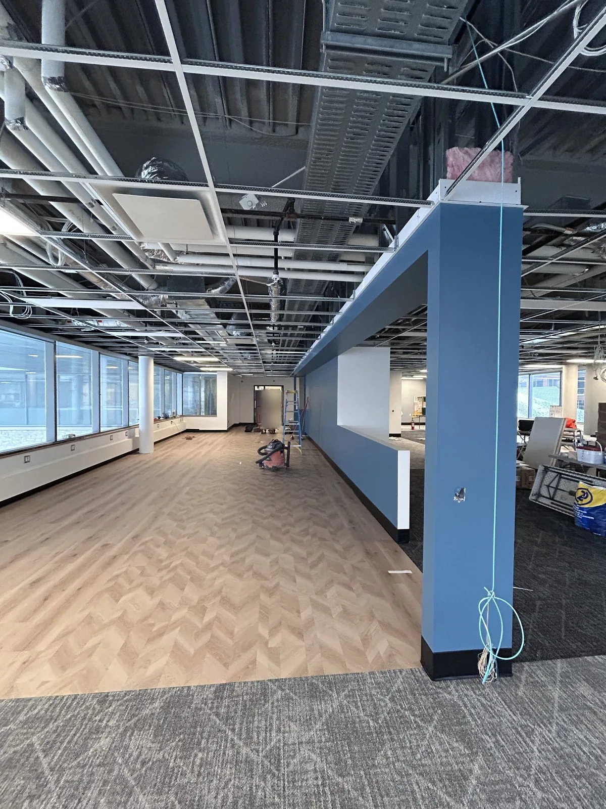 Open floor with a blue painted bulkhead and wall, open ceiling grid, herringbone flooring and a ladder during renovation