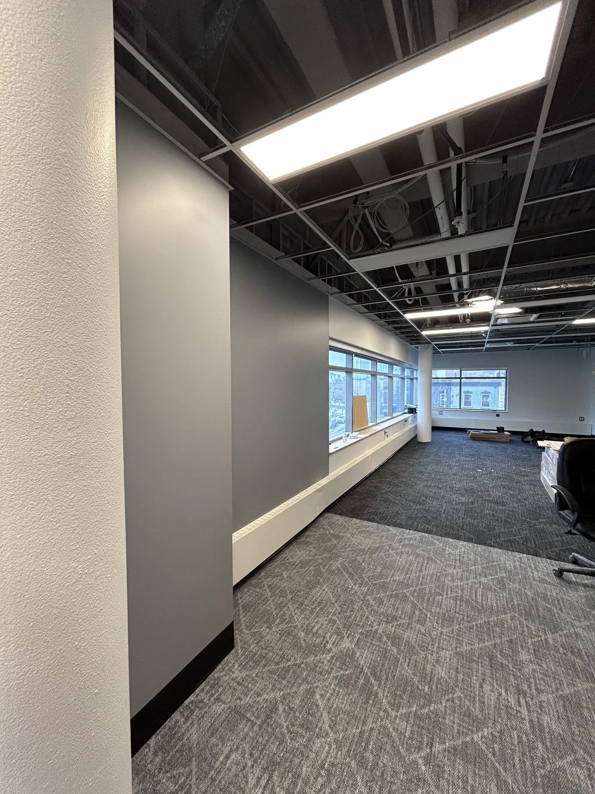 Grey painted accent wall along a carpeted open floor with windows and an open ceiling grid