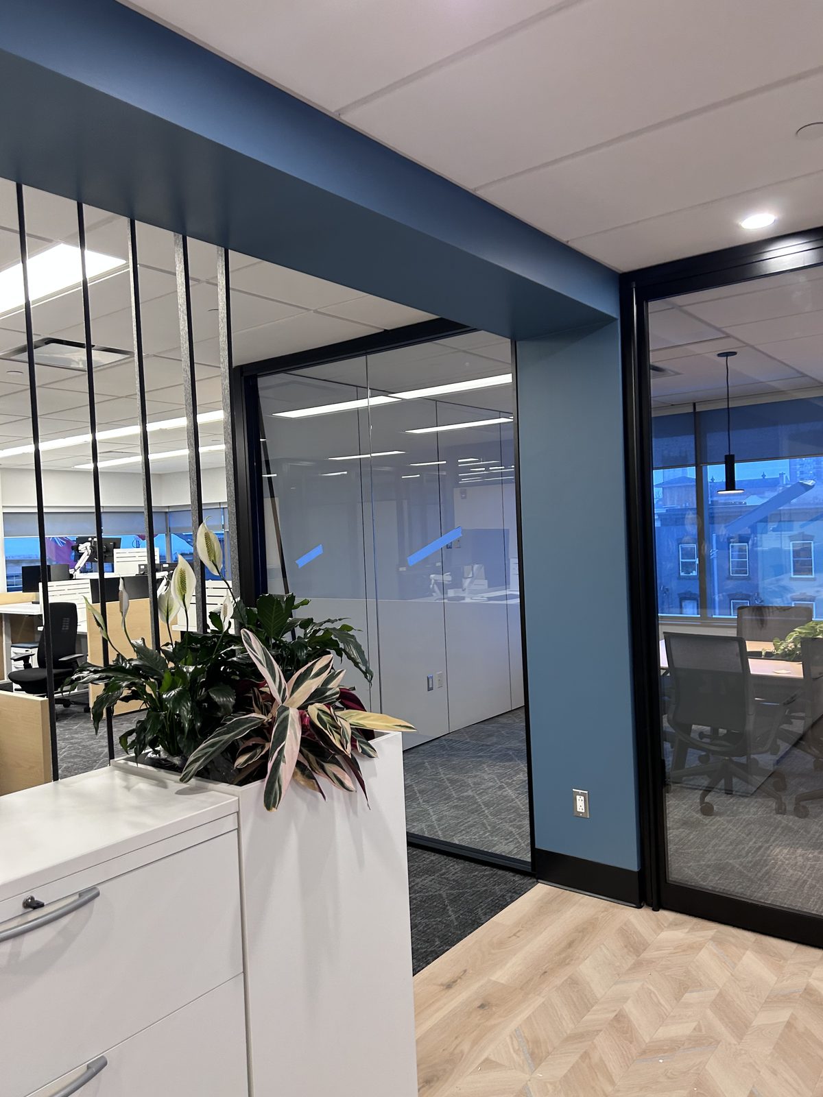 Office area with a blue painted bulkhead and wall, glass-walled offices, a planter and herringbone wood-look flooring