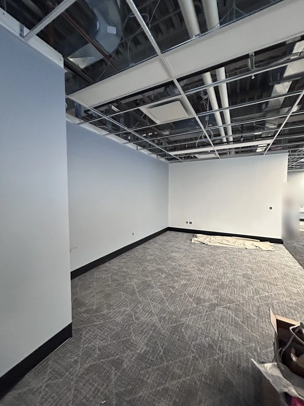 White painted walls with black base in an open carpeted room under an open ceiling grid