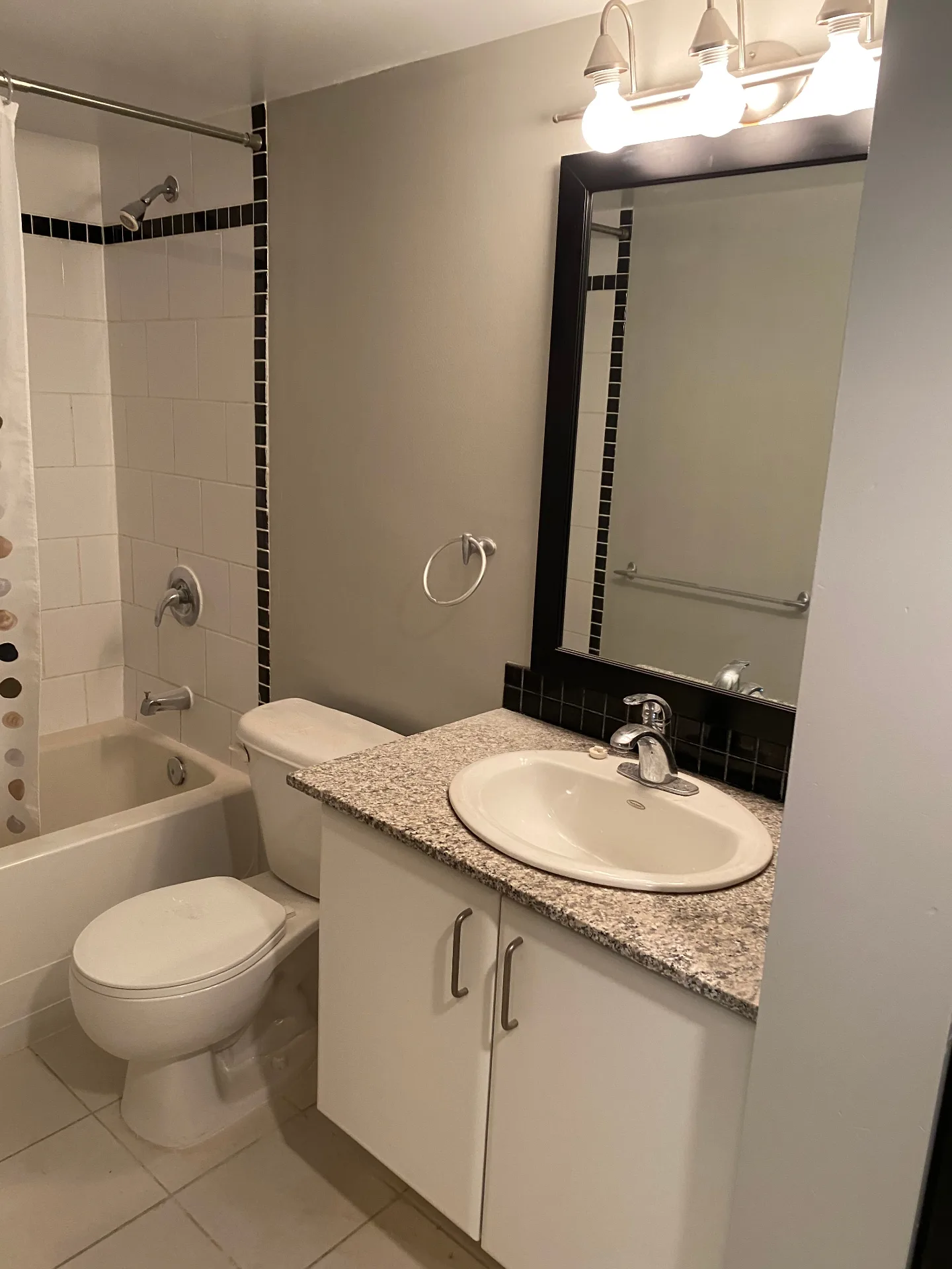 North York Condo – photo 4